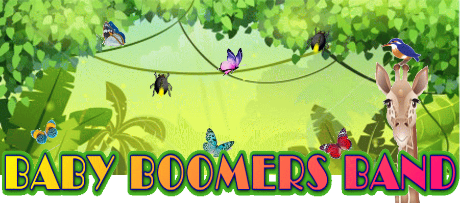xr[u[}[Yoh@BABY BOOMERS BAND